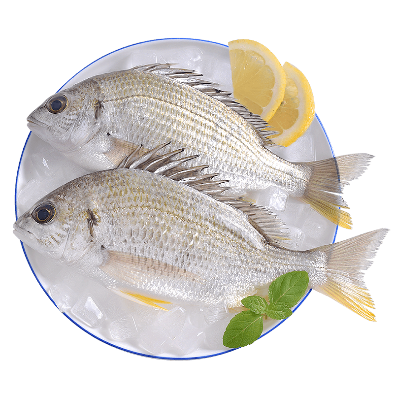 哆鲜生海鲜美食，畅享鱼肉美味|鱼类历史价格价格查询App