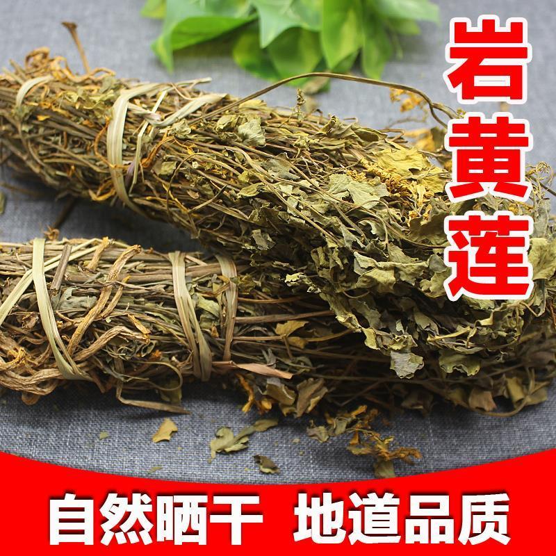 岩黄连中药材 野外岩胡 黄莲茶 岩莲非野生 土莲