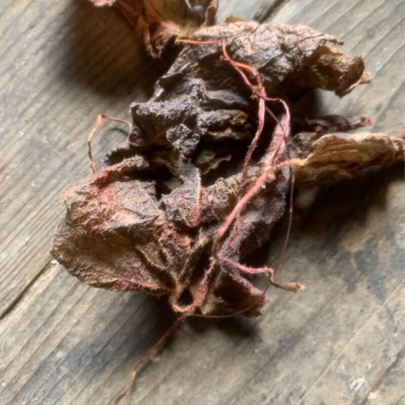 贵州纯紫背天葵中草药美容养颜红天葵紫背天葵一叶茶散血子 贵州野生