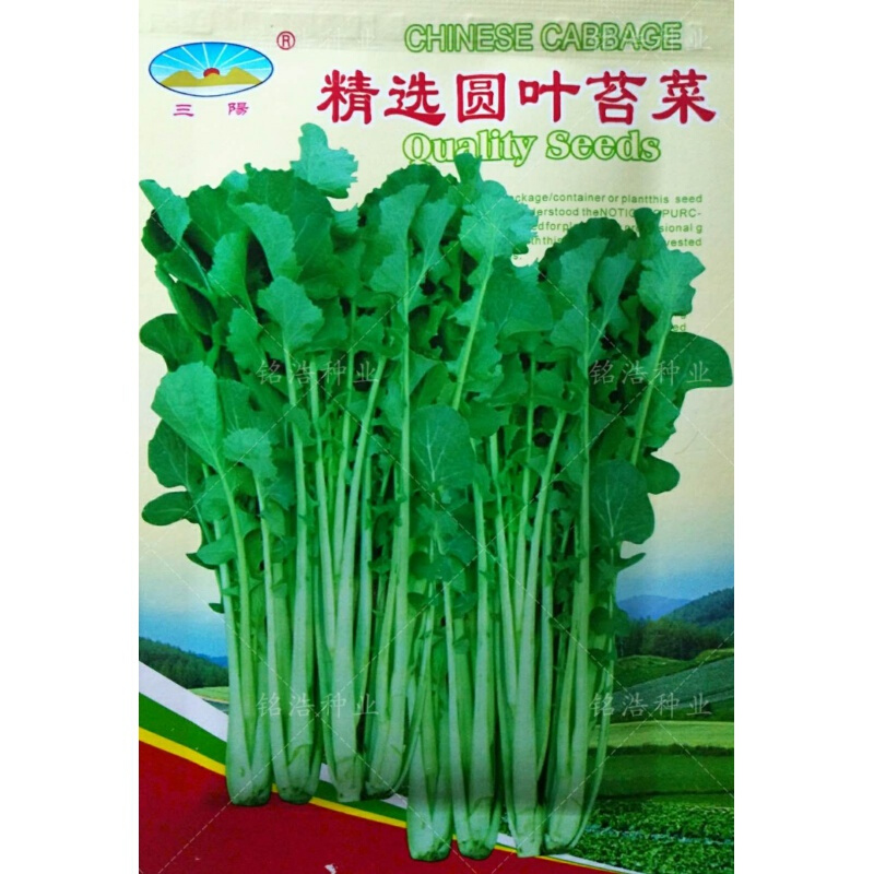 菜友精选圆叶苔菜种子台菜籽春夏秋冬四季播农家菜园阳台蔬菜特菜籽孑