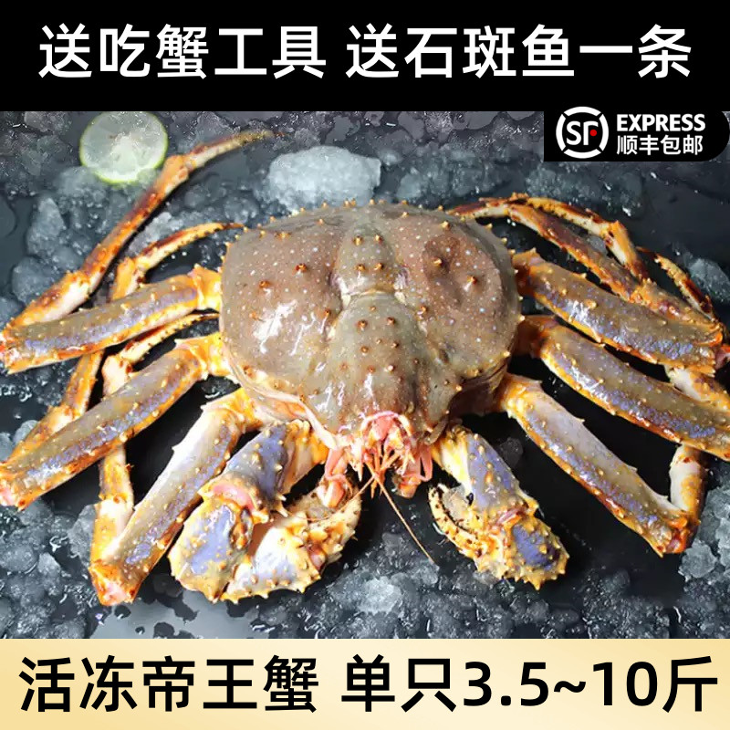 【帝王蟹】活冻蟹帝王蟹海鲜鲜活水产十斤特大皇帝蟹顺丰 活冻5.