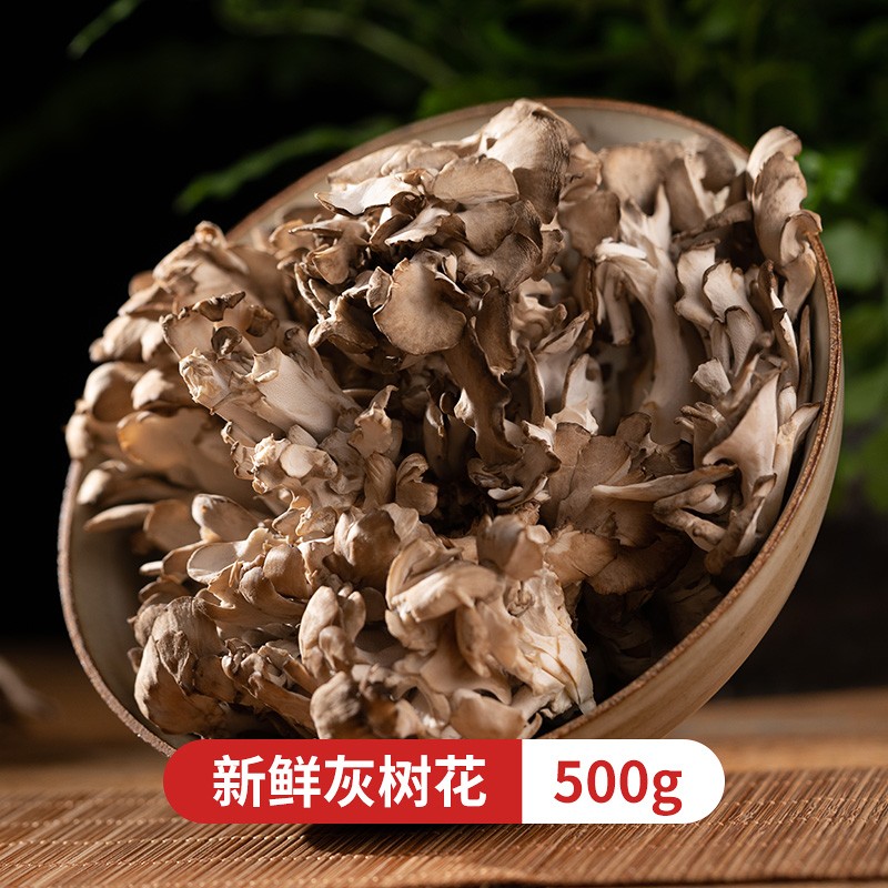 灰树花新鲜云南当季时令山珍菌类蔬菜蘑菇舞茸菌煲汤火锅食材 灰树菇