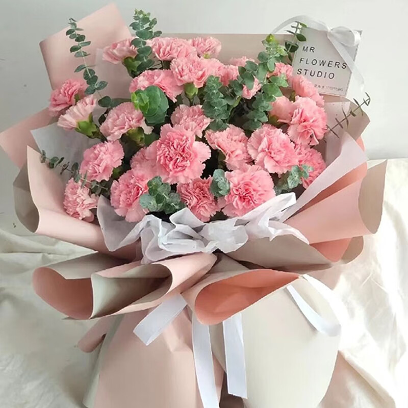 初卉鲜花速递康乃馨鲜花同城配送预定送长辈母亲妈妈礼物 33朵粉色