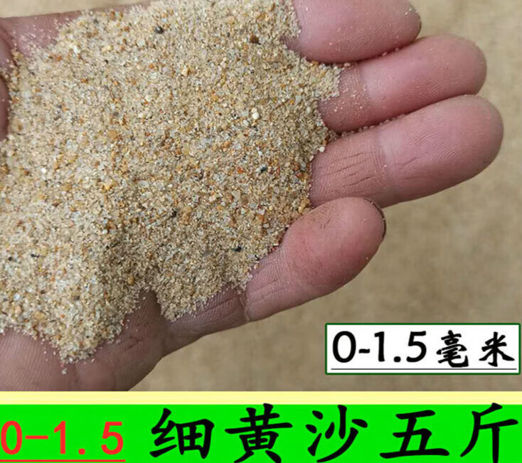 豹栗崽龙哥绿植 河沙花用 种植多肉 鱼缸底沙 颗粒粗沙 淡水细沙 细