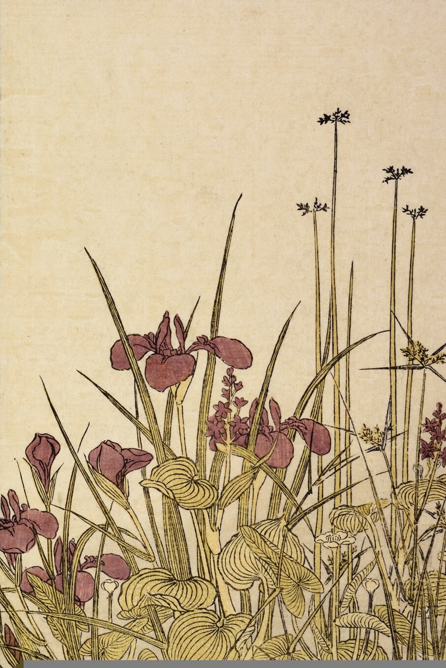 【预售 按需印刷】purple iris flowers vintage field journal note