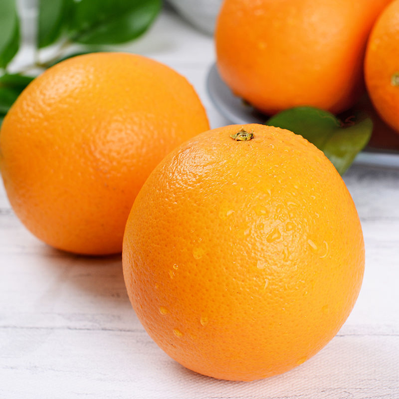 南非进口橙新鲜特卖大果损坏包赔进口水果橙子全国 大果3斤装