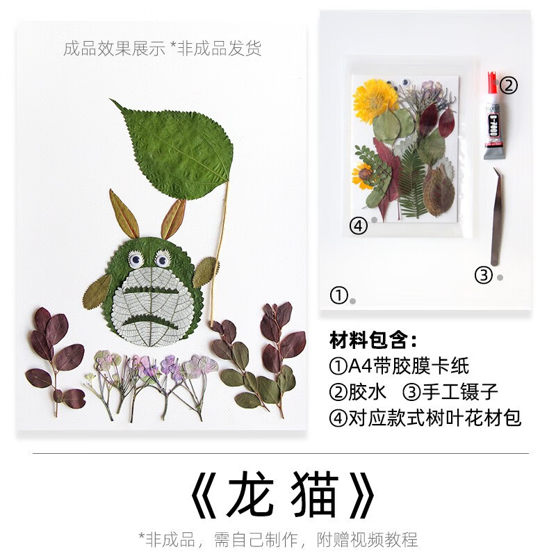 隆屋手工制作树叶标本画成品干花书签diy真创意植物树叶画材料包 龙猫