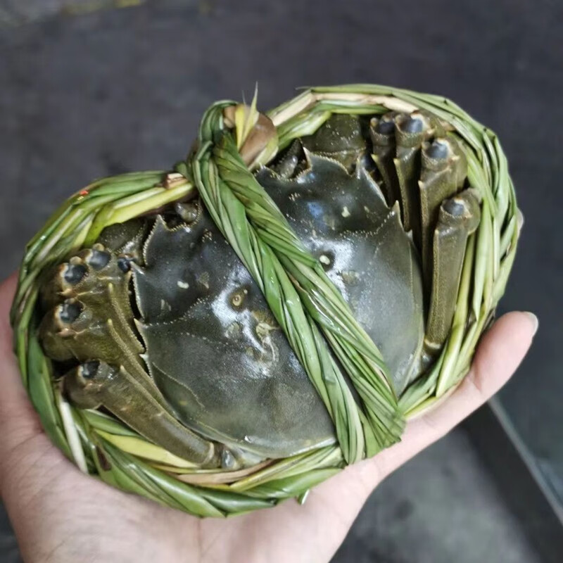 固城湖大闸蟹鲜活特大4.5两螃蟹现货礼盒装活蟹新鲜 大闸蟹（公） 8只装 单只4.5两.怎么看?