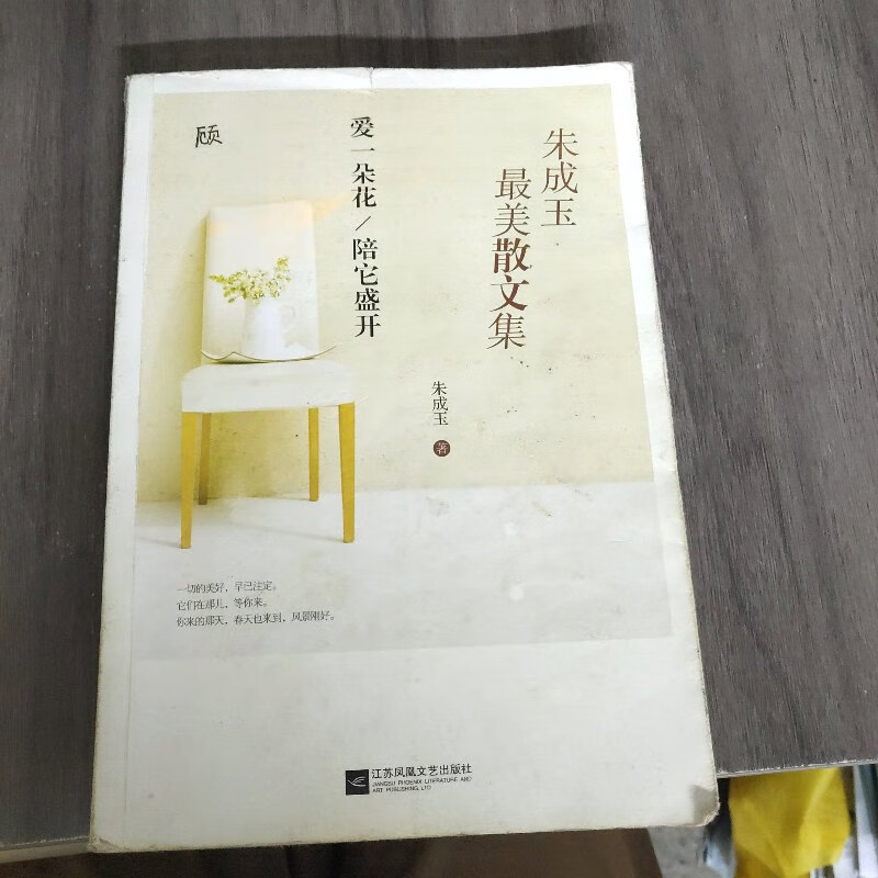 【绝版旧书】朱成玉最美散文集:爱一朵花陪它盛开