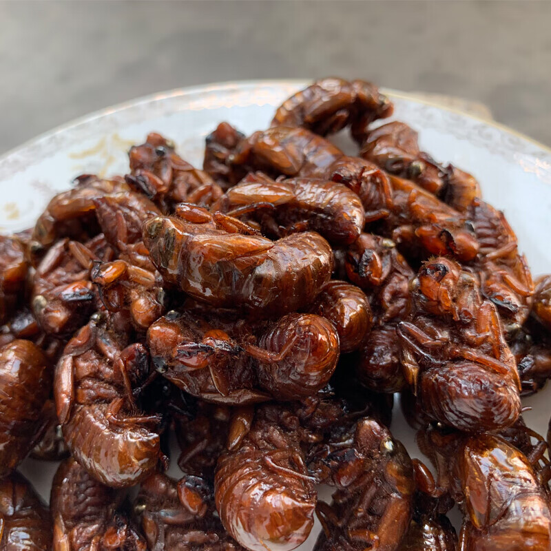 虎钢馋【开袋即食】油炸知了猴昆虫金蝉熟知了龟唐僧肉蝉蛹椒盐20只