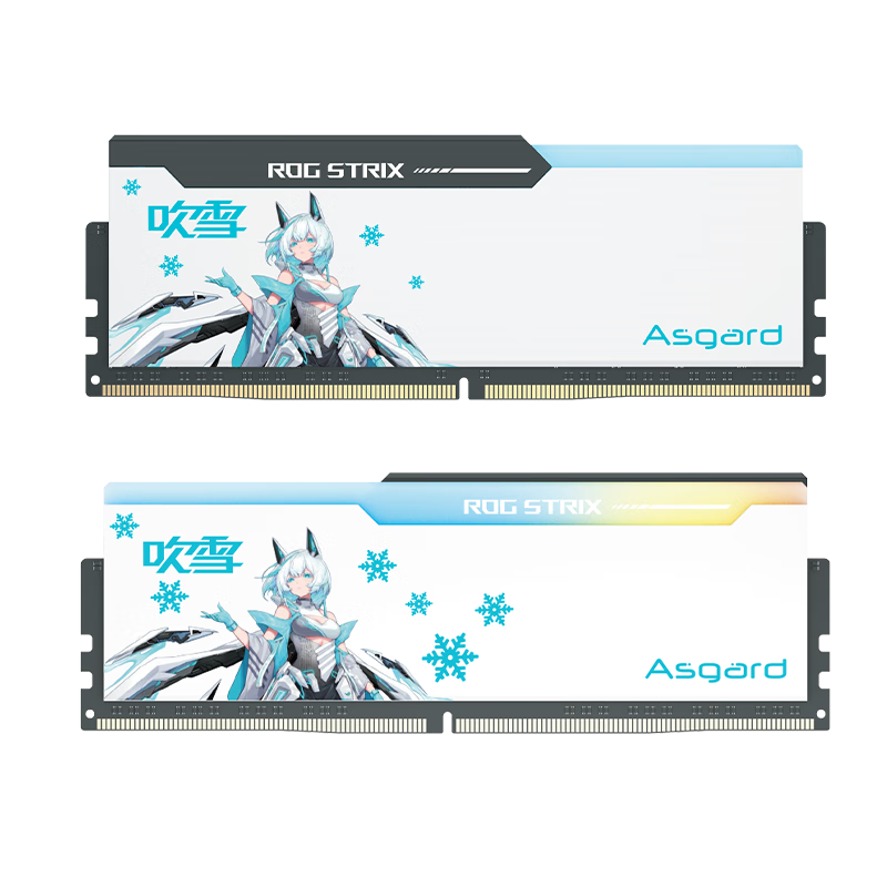 阿斯加特（Asgard）DDR5 电竞台式机内存 海力士A-die颗粒RGB灯条 6800 C34 M-die 吹雪联名款 48GB 2条套条 (24G*2)