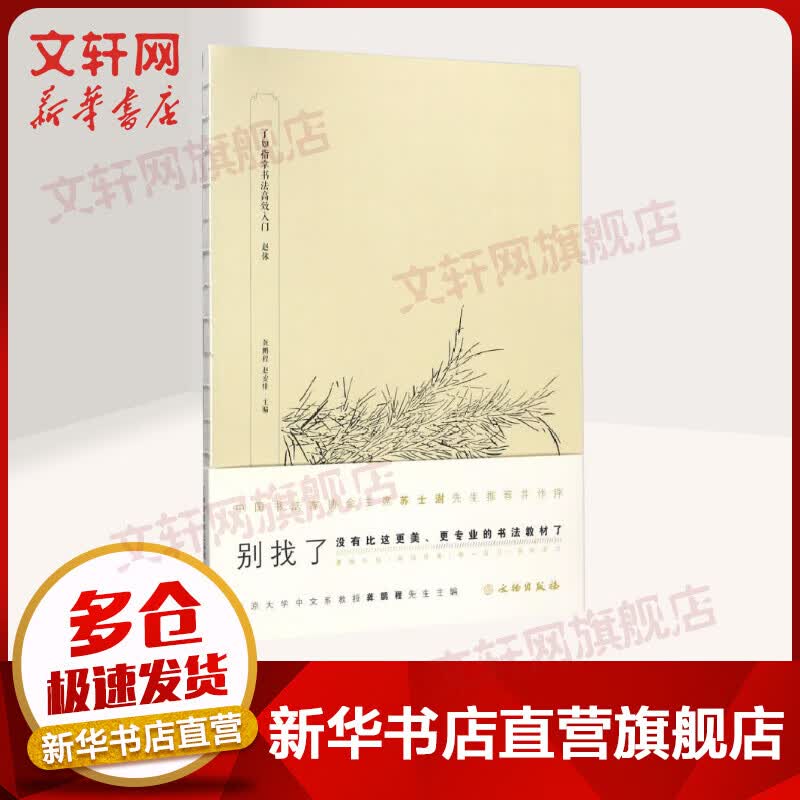 了如指掌书法高效入门赵体