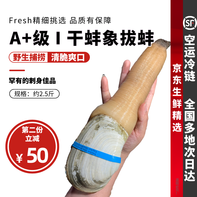 舔鲜 【a 干蚌象拔蚌】2斤刺身加州肉蚌干水蚌切片即食