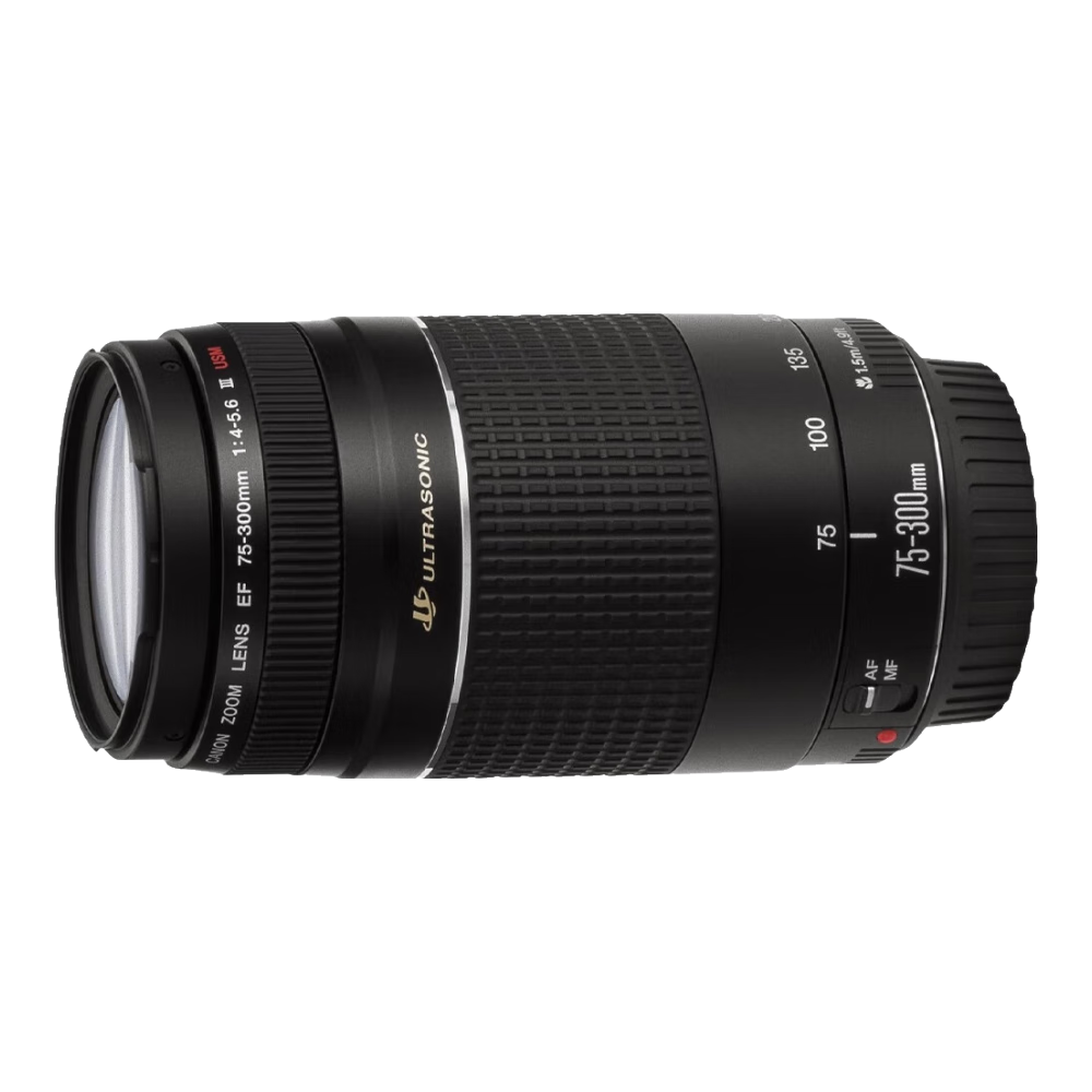 Canon佳能70-300 70-300D0 75-300二代二手?jǐn)?shù)碼單反相機(jī)長(zhǎng)焦鏡頭胖白小綠小黑 75-300mm f/4-5.6 III USM 99新