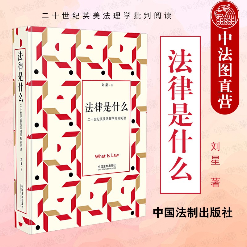 正版精装 法律是什么 二十世纪英美法理学批判阅读 修订2版 刘星 中国法制 法学入门读物法理学经典著作 分析论证20世纪英美法理学流派论说