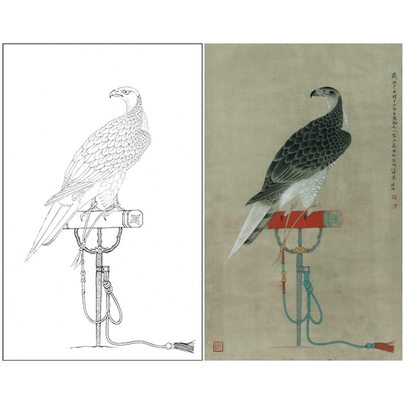 桔舍 李晓明工笔画白描底稿架上鹰图原作大小50*79厘米花鸟线稿带a3