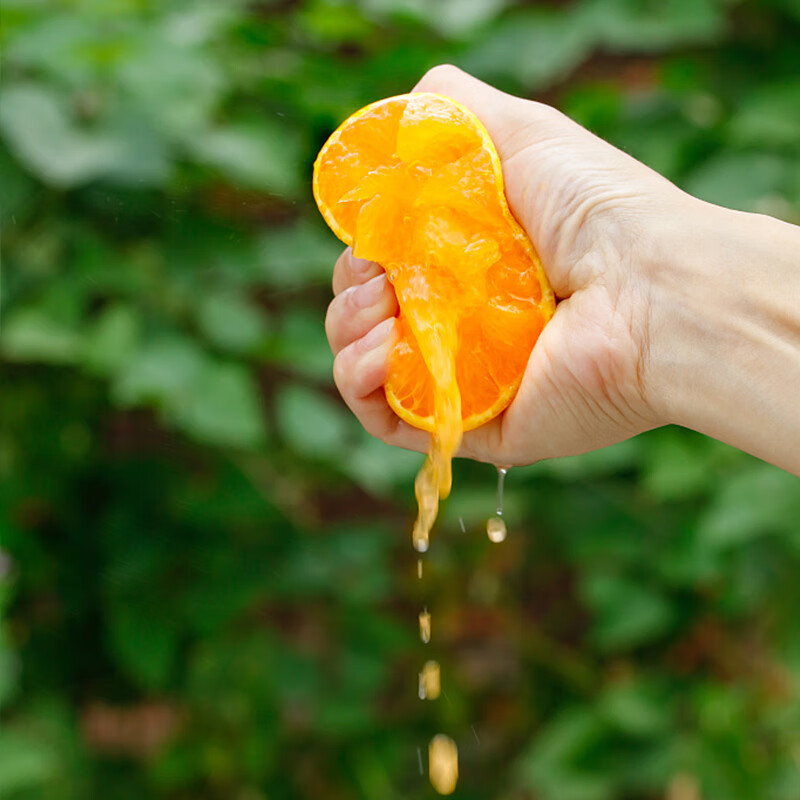 �ֶ��ʰ��¹�����  ��ѡԭ������ֱ�� ����8�ﾫѡ������65-100mm+��