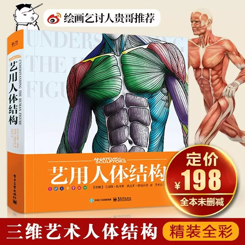 【现货速发】艺用人体结构精装版全彩理解人体形态结构骨骼肌肉造型解剖学基础教程动漫素描书入门伯里曼人体