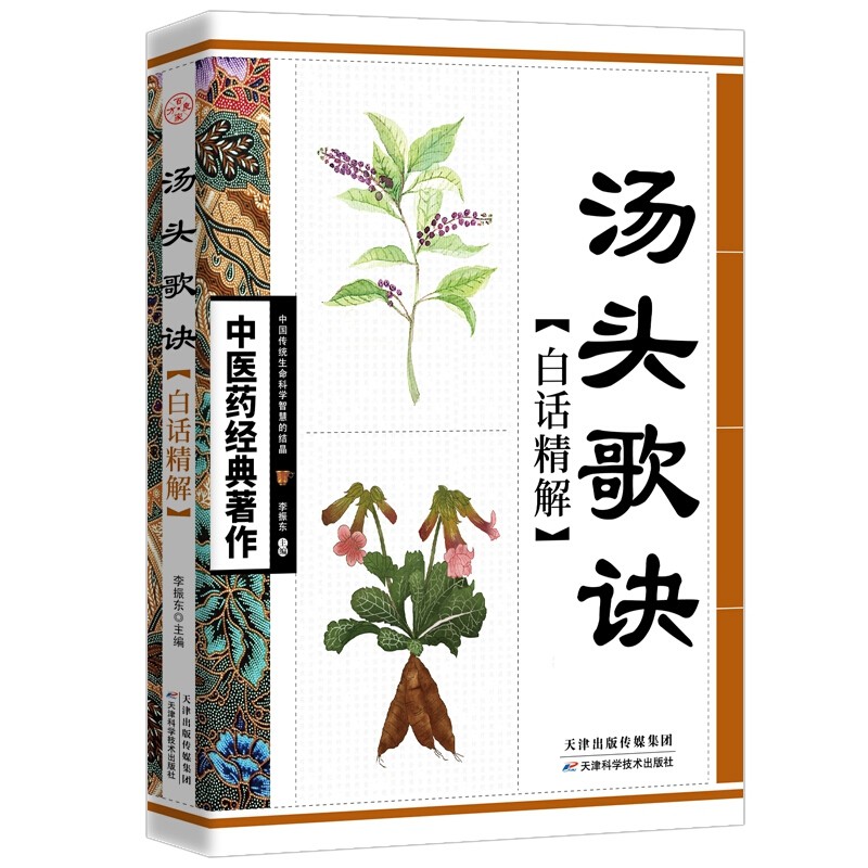 汤头歌诀正版中国医学书籍 国医学书籍 国医学书籍 国医学书籍