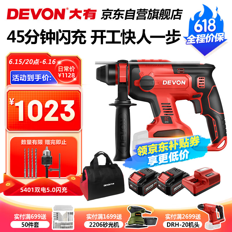 大有20V无刷充电锂电电锤5401冲击钻电镐两用混凝土开凿双电5.0闪充