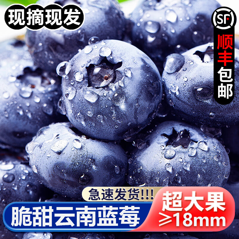 查看蓝莓历史价格|蓝莓价格比较