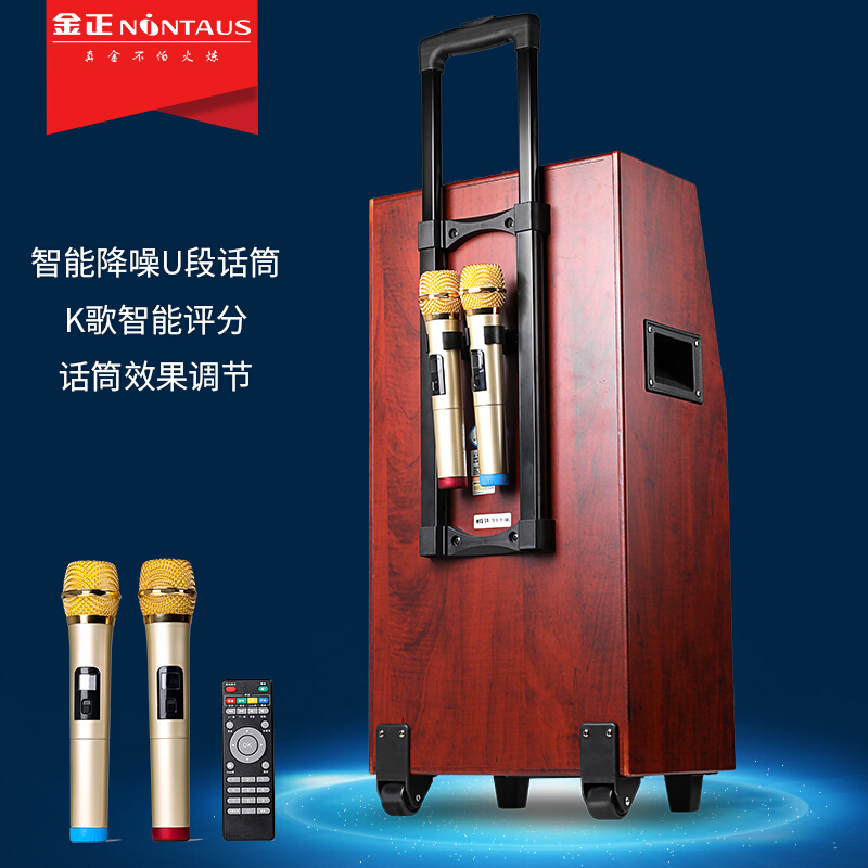 金正一体机便携式视频户外音响触摸屏广场舞音响家用卡拉ok 官方标配