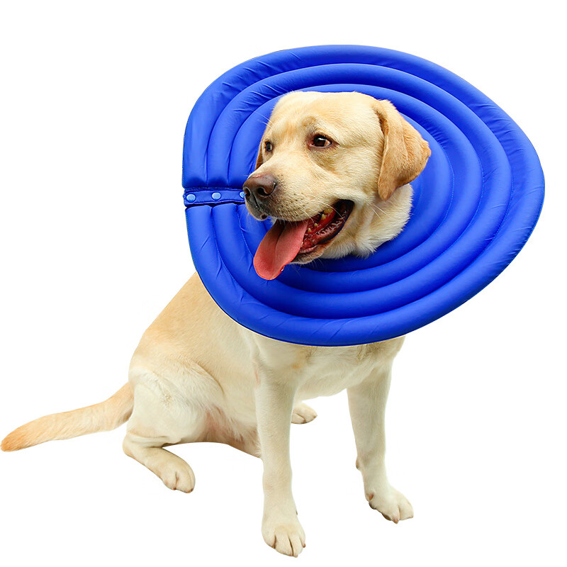 宠物防咬圈猫咪耻辱圈狗狗用品 蓝色 l码颈围30-35cm中大型犬种使用