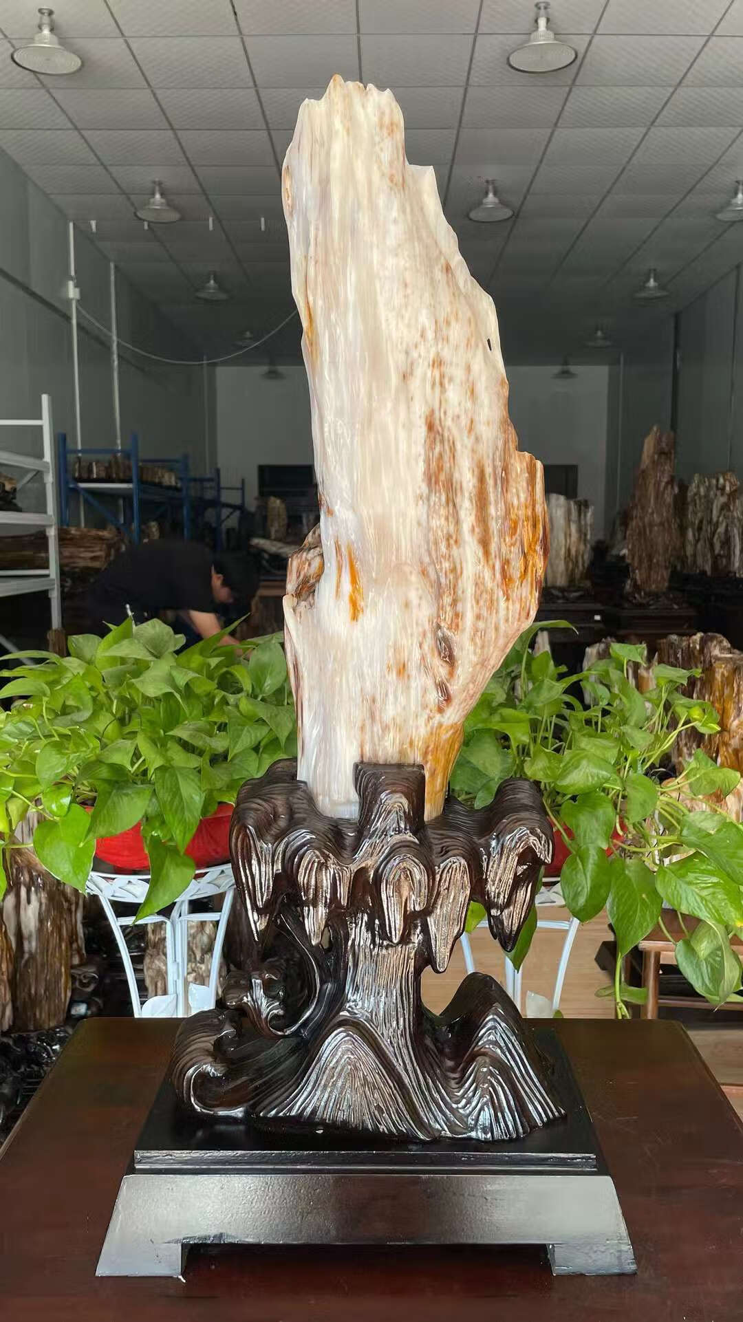 原石冰种硅化木奇石客厅玄关办公室景观 连底座总高74净高50宽18厚14