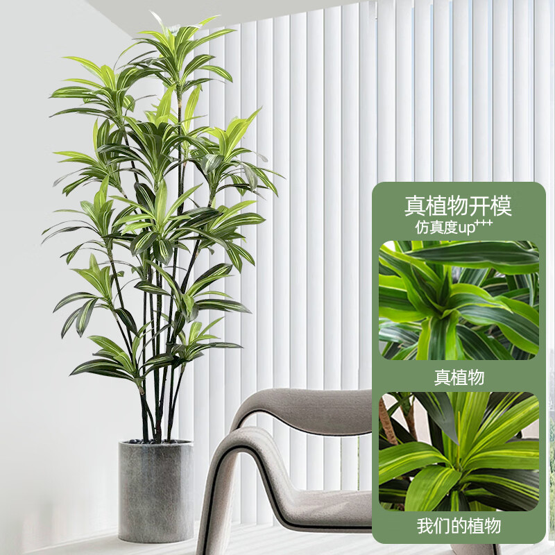 森空间仿真植物巴西木室内客厅落地盆栽装饰摆件北欧风仿生假绿植