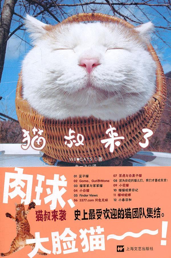 猫叔来了动漫 图书