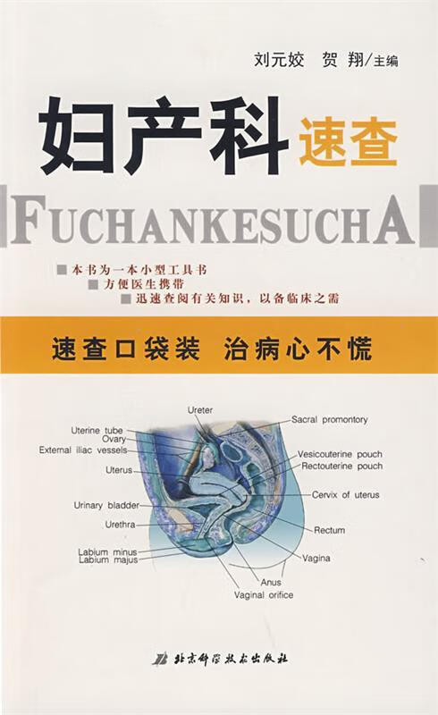 妇产科速查2011