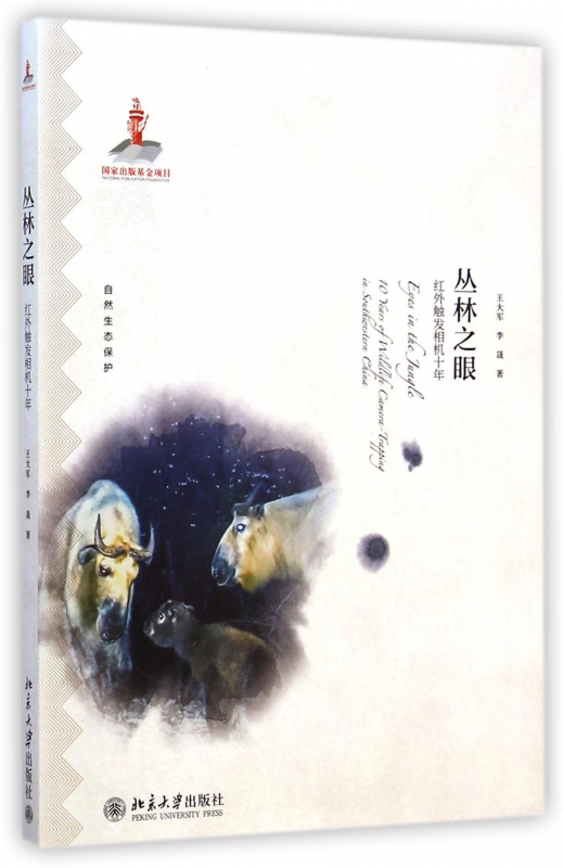 丛林之眼(红外触发相机十年自然生态保护)