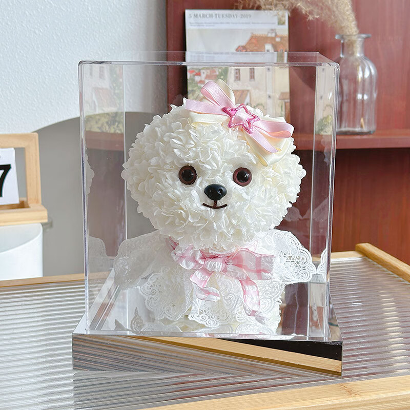 从舒(congshu)马尔济斯永生花绣球狗马尔济斯泰迪犬永生花狗礼盒小狗