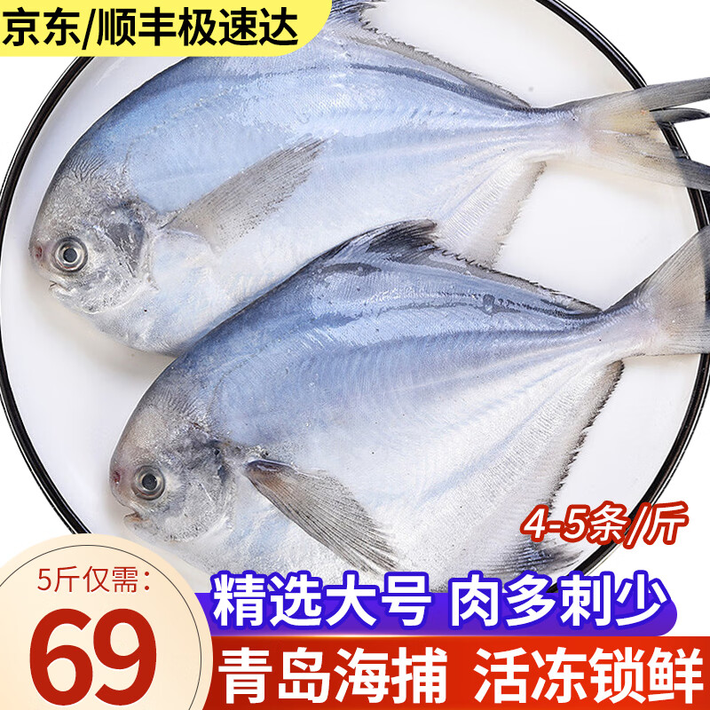 鲜拔头筹 银鲳鱼 青岛海捕大号白鲳鱼5斤 扁鱼平鱼 国产海鱼 生鲜鱼类