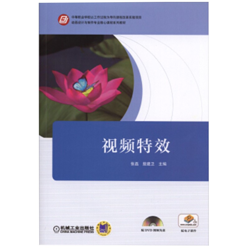 视频特效