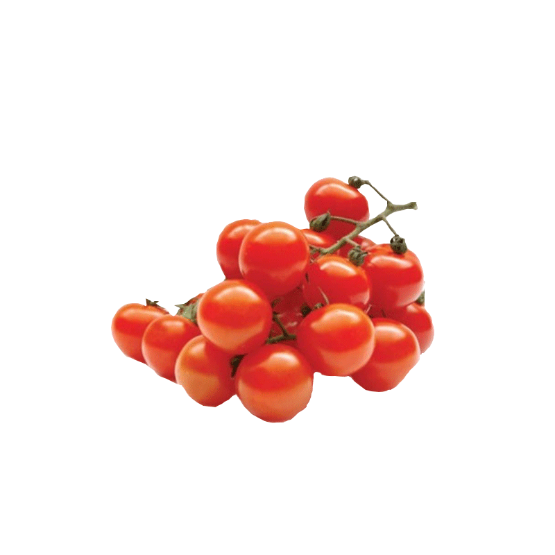 種菜記瀑布番茄種子索菲爾185串收西紅柿種子珍珠瀑布圣女果紅櫻桃番茄 瀑布番茄20粒(索菲爾185)