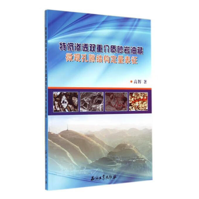 特低渗透双重介质砂岩油藏微观孔隙结构定量表征 高辉 著【正版书】