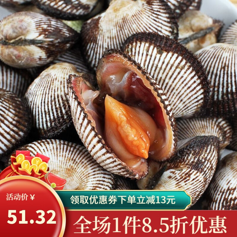 姬露鲜毛蚶血蛤鲜活赤贝新鲜小海鲜贝类水产鲜活大毛蛤蜊现捕泥蚶 5斤装 2.5kg