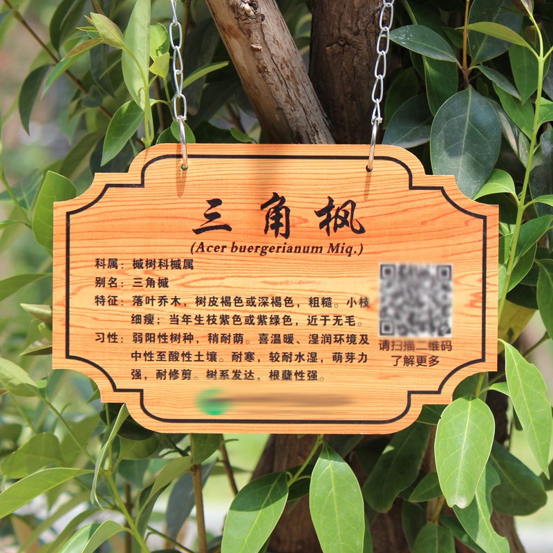 定制树牌二维码牌树木标识牌房产物业树园林树认养牌亚克力牌 2mm 10x