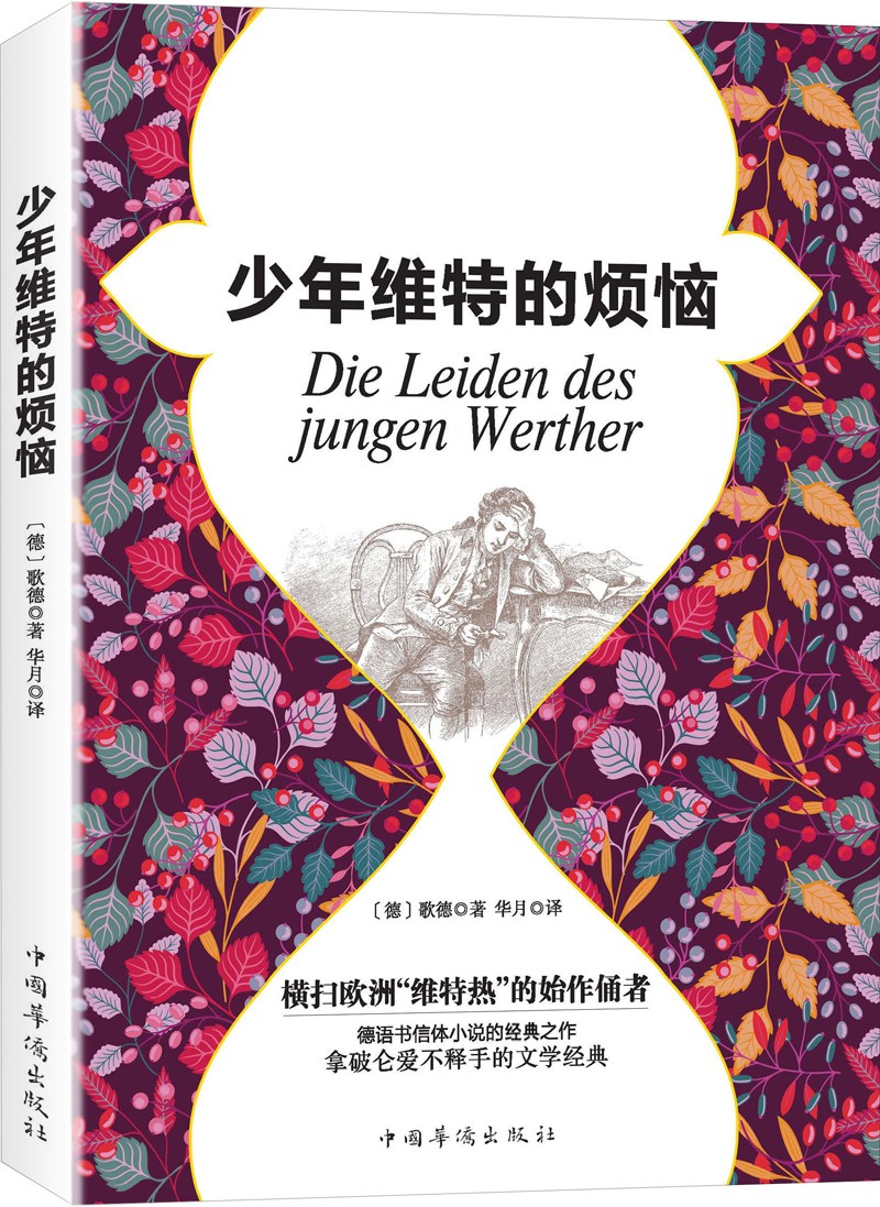 少年维特的烦恼