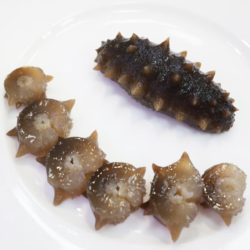 张奶奶 大连冷冻即食海参礼盒非干货辽刺参高品质生鲜礼盒过年送礼 1500g 【45-55头实惠小头礼盒】