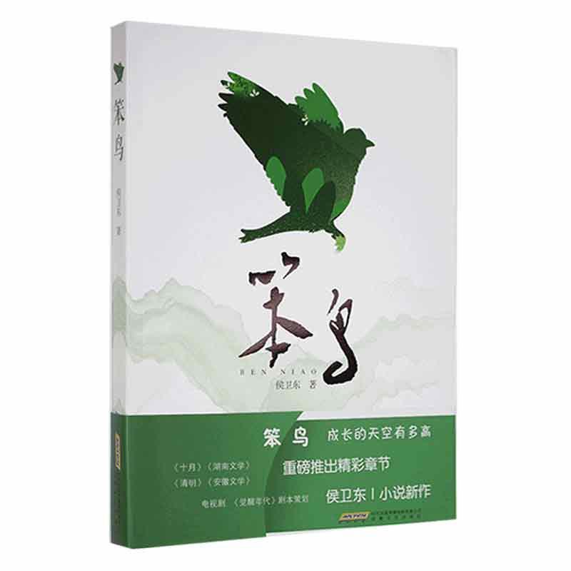 笨鸟侯卫东安徽文艺出版社9787539672670 小说书籍