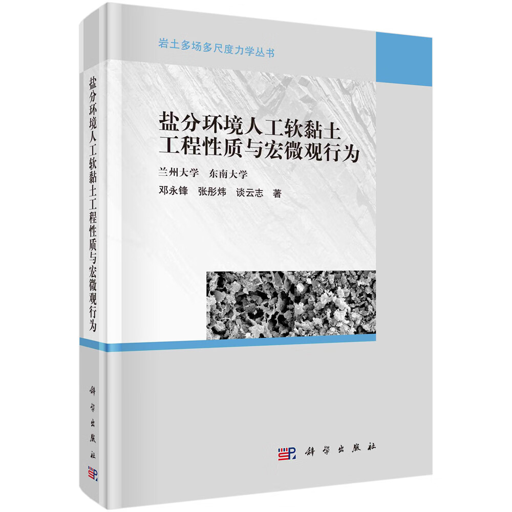 盐分环境人工软黏土工程性质与宏观行为