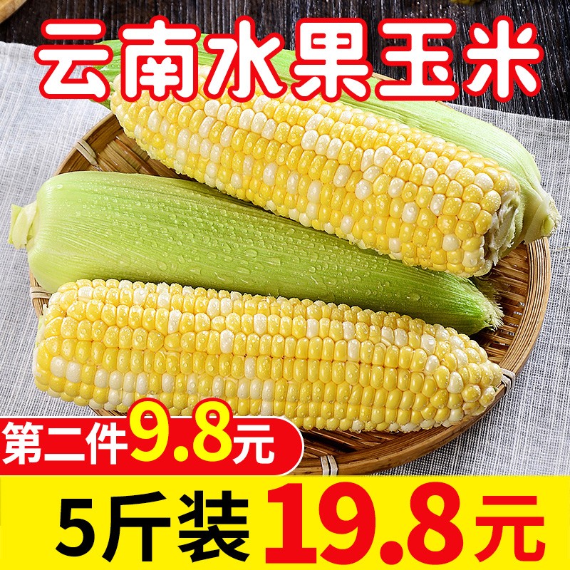 曙光 云南新鲜水果玉米5斤装 甜糯黏玉米苞米 玉米棒 新鲜蔬菜 5斤装