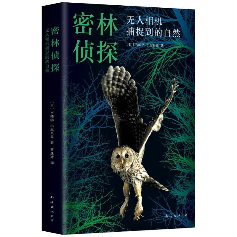 密林侦探