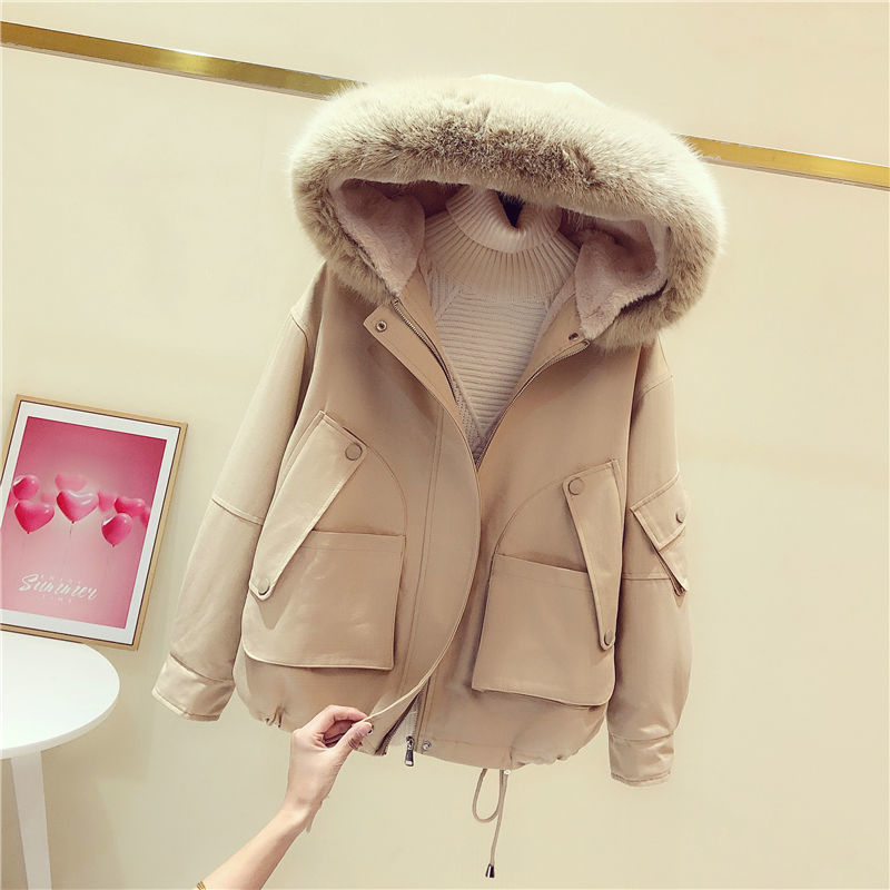 怎么查看女士棉服的历史价格|女士棉服价格走势