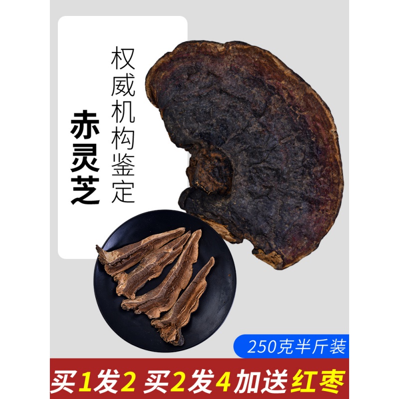 北京同仁堂长白山赤灵芝泡水酒灵芝整枝朵500g林芝