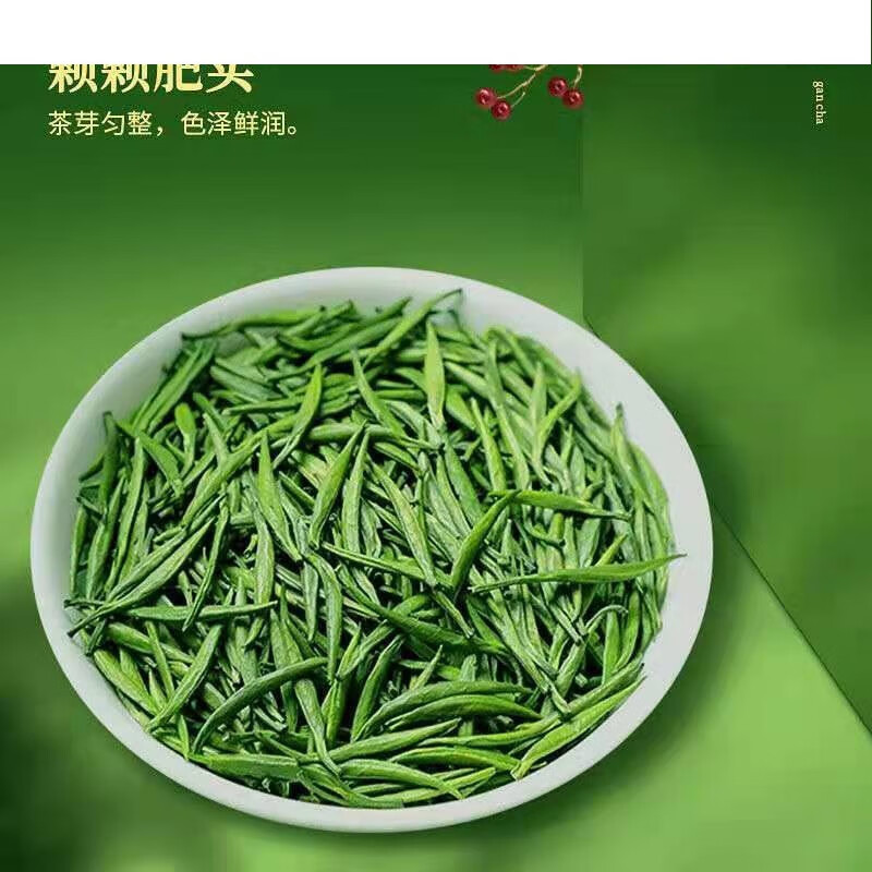 宜享健康【汇茗润】雀舌芽尖茶叶绿茶四川毛尖茶250g罐装嫩芽尖散装