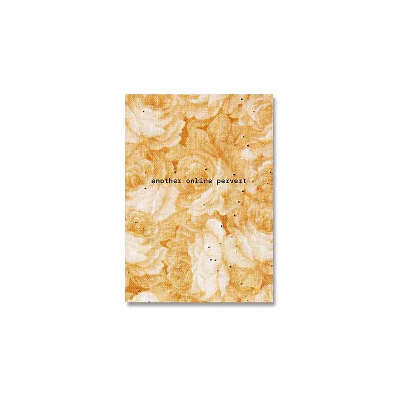 【现货】【翰德图书】brea souders: another online pervert,brea