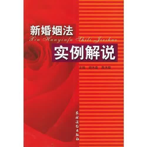 新婚姻法实例解说9787504834539